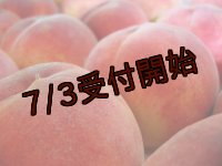 吟壌桃「あかつき」3L-12〜14玉（5kg）