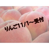 吟壌桃「あかつき」L-18玉（5kg）