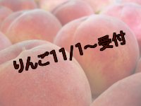 吟壌桃「あかつき」L-18玉(5kg)