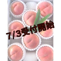 吟壌桃「川中島白桃」3L-8玉（3kg）