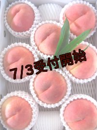 吟壌桃「川中島白桃」3L-8玉（3kg）