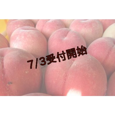 画像2: 吟壌桃「川中島白桃」6玉（2kg）