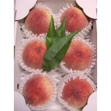 吟壌桃「川中島白桃」6玉（2kg）