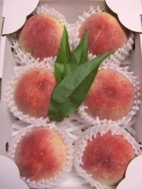 吟壌桃「川中島白桃」6玉（2kg）