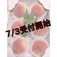 吟壌桃「川中島白桃」6玉（2kg）