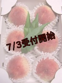 吟壌桃「川中島白桃」6玉（2kg）