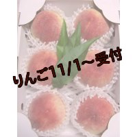 吟壌桃「川中島白桃」6玉（2kg）