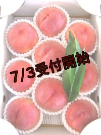 吟壌桃「あかつき」LL-9〜10玉（3kg）