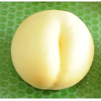 吟壌桃「白麗」3kg