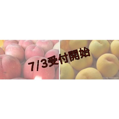 画像2: 吟壌桃「さくら」＆「黄ららのきわみ」2kg