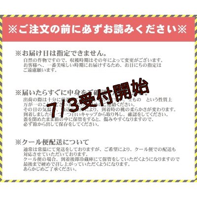 画像4: 吟壌桃「幸茜」2L-9〜10玉（3kg）