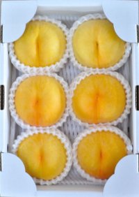 吟壌桃「黄金桃」6玉（2kg）