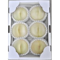 吟壌桃「白麗」6玉（2kg）