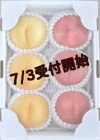 吟壌桃「さくら」＆「黄ららのきわみ」2kg