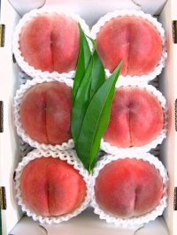 吟壌桃「さくら」4〜6玉　(2kg)