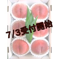 吟壌桃「さくら」4〜6玉　(2kg)