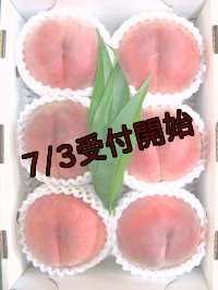吟壌桃「さくら」4〜6玉　(2kg)