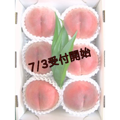 画像1: 吟壌桃「さくら」4〜6玉　(2kg)