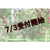吟壌りんご「ふじ」小玉サイズ18〜20玉（5kg）