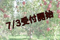 吟壌りんご「ふじ」小玉サイズ18〜20玉（5kg）