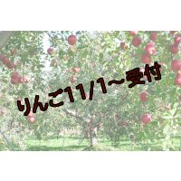 ※オンラインショップ限定販売※吟壌りんご「ふじ」小玉サイズ18〜20玉（5kg）
