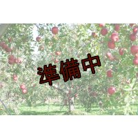 吟壌りんご「ふじ」小玉サイズ18〜20玉（5kg）