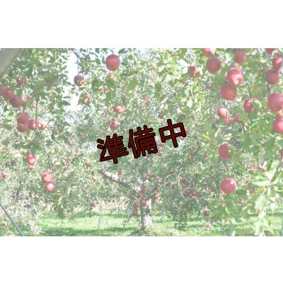 画像1: 吟壌りんご「ふじ」小玉サイズ18〜20玉（5kg）