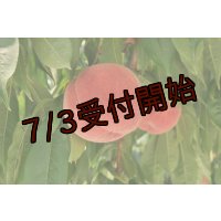 吟壌桃「幸茜」6玉（2kg）