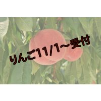 吟壌桃「幸茜」6玉（2kg）