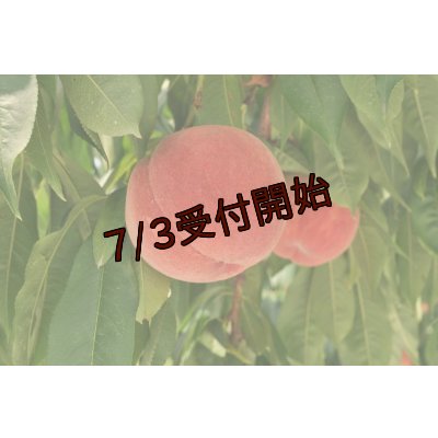 画像1: 吟壌桃「幸茜」2L-9〜10玉（3kg）