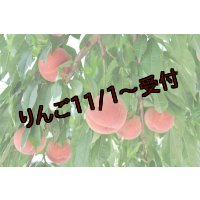 吟壌桃「ゆうぞら」LL-9〜10玉（3kg）