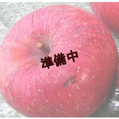 画像3: 【アウトレット】りんご「ふじ」ジュース加工用（10ｋｇ）