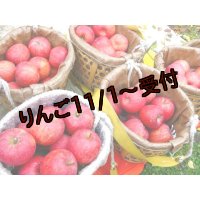【アウトレット】吟壌りんご「ふじ」家庭用(割果)12〜18玉（5ｋｇ）