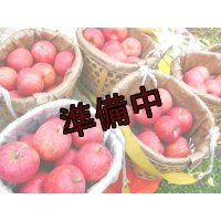 【アウトレット】吟壌りんご「ふじ」家庭用(割果)12〜18玉（5ｋｇ）