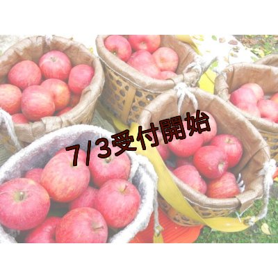 画像1: 【アウトレット】吟壌りんご「ふじ」家庭用(割果)12〜18玉（5ｋｇ）