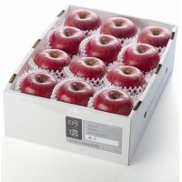 吟壌りんご「ふじ」小玉サイズ12玉（3kg）