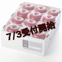 吟壌りんご「ふじ」小玉サイズ12玉（3kg）