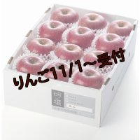 ※オンラインショップ限定販売※吟壌りんご「ふじ」小玉サイズ12玉（3kg）