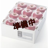 吟壌りんご「ふじ」小玉サイズ12玉（3kg）