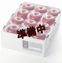 吟壌りんご「ふじ」小玉サイズ12玉（3kg）