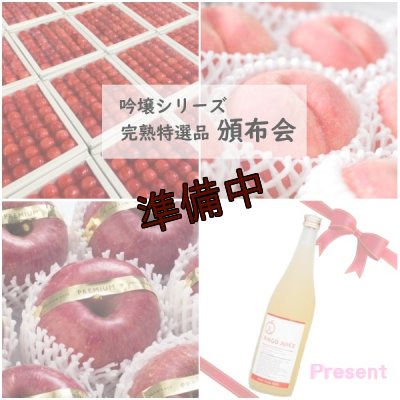 画像1: ☆お得意様限定☆吟壌シリーズ完熟特選品　頒布会