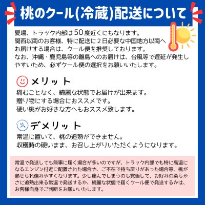 画像2: 吟壌桃「あかつき」LL-9〜10玉（3kg）