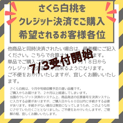 画像2: 吟壌桃「さくら」3L-10〜14玉　(5kg)