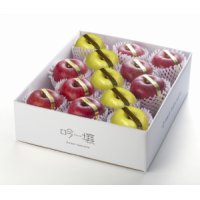 吟壌りんご・限定プレミアム「ふじ・はるか」詰合せ　12〜15玉（5kg） 