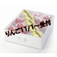 吟壌りんご・限定プレミアム「ふじ・はるか」詰合せ　12〜15玉（5kg） 
