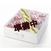 吟壌りんご・限定プレミアム「ふじ・はるか」詰合せ　12〜15玉（5kg） 