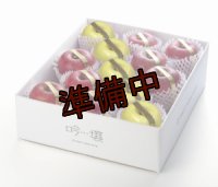 吟壌りんご・限定プレミアム「ふじ・はるか」詰合せ　12〜15玉（5kg） 