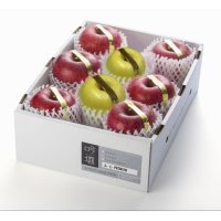 吟壌りんご・限定プレミアム「ふじ・はるか」詰合せ　8〜10玉（3kg）