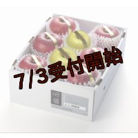 吟壌りんご・限定プレミアム「ふじ・はるか」詰合せ　8〜10玉（3kg）