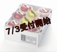 吟壌りんご・限定プレミアム「ふじ・はるか」詰合せ　8〜10玉（3kg）